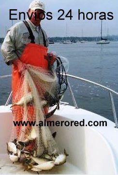 Red cebo vivo rall de pesca