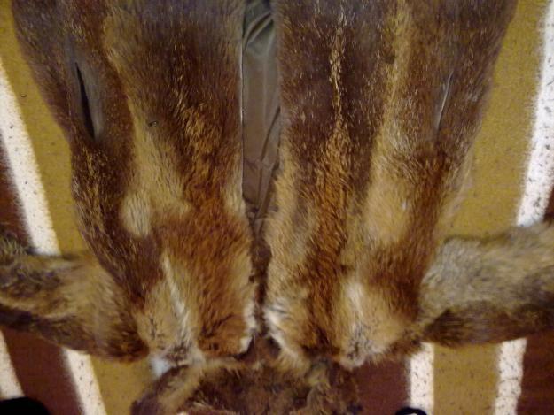 Abrigo de piel de zorro rojo autraliano