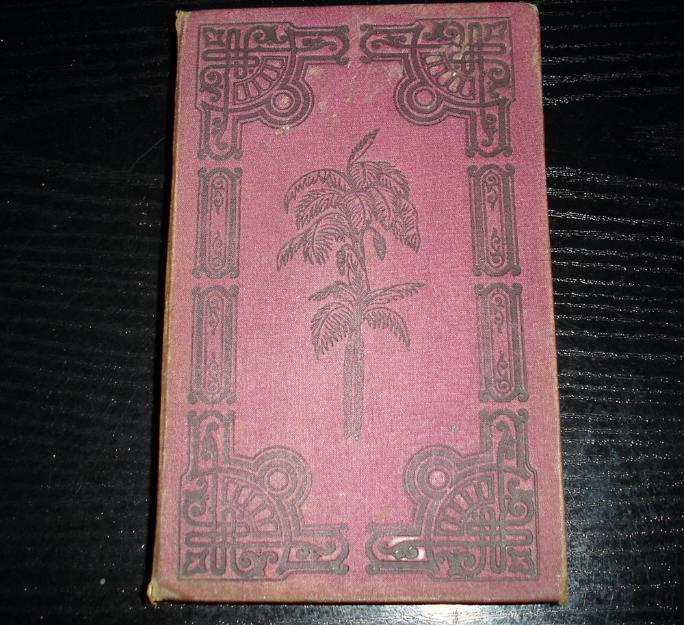 Antigua novela  La Noche Maldita- Julio Mary ..1890