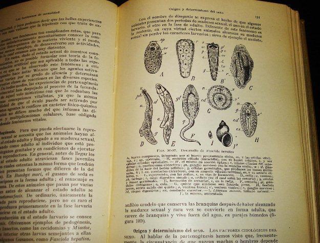 Biologia-Compendio  por U. Pierantoni 1936