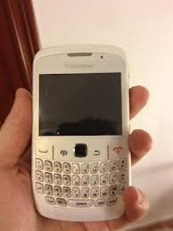 Blackberry curve - 8520 blanca