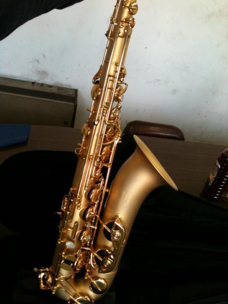 Casi regalo mi saxofon tenor Borgani Pearl gold