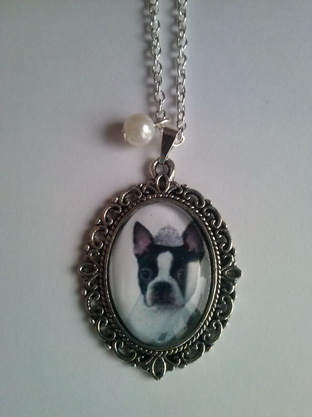 collar buldog boston terrier necklace