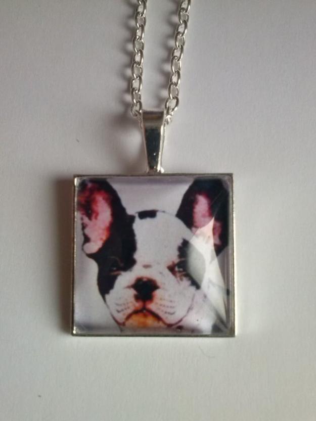 collar bulldog puppy french bulldog necklace
