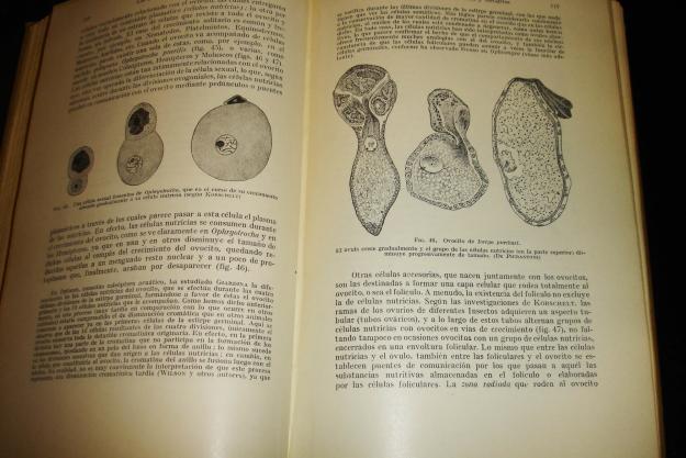 Compendio de Biologia por U. Pierantoni 1936