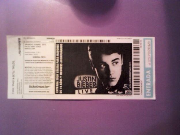concierto justin bieber en el palau sant jordi