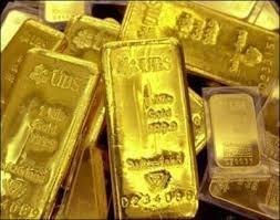 Dofoid, tenga su dinero seguro, invierta en oro