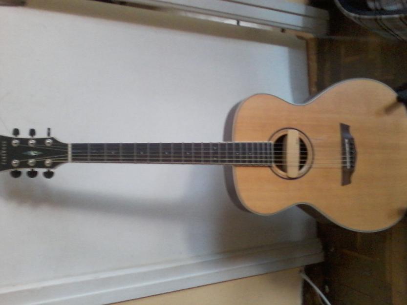 Guitarra acústica parkwood
