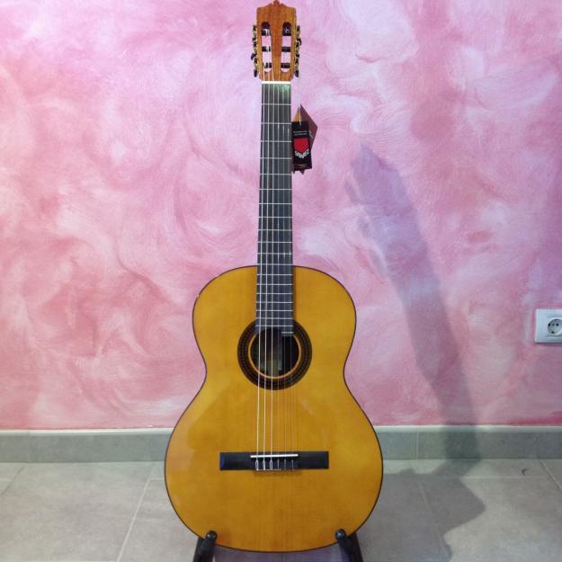 Guitarra clásica martinez mcg-40