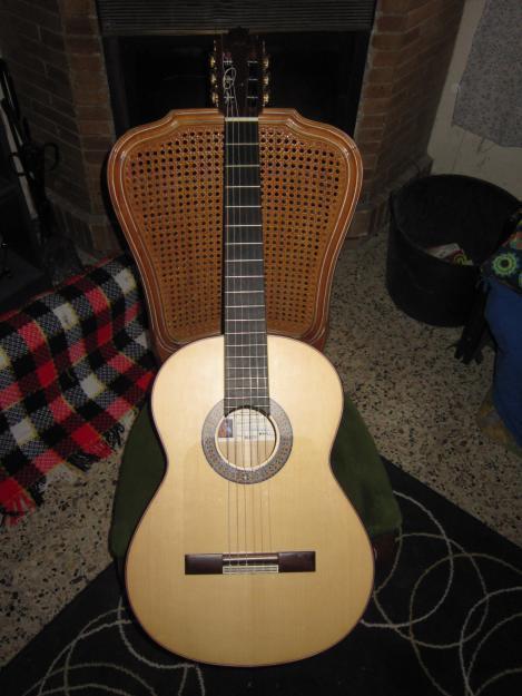 Guitarra Manuel Rodriguez Mod:D