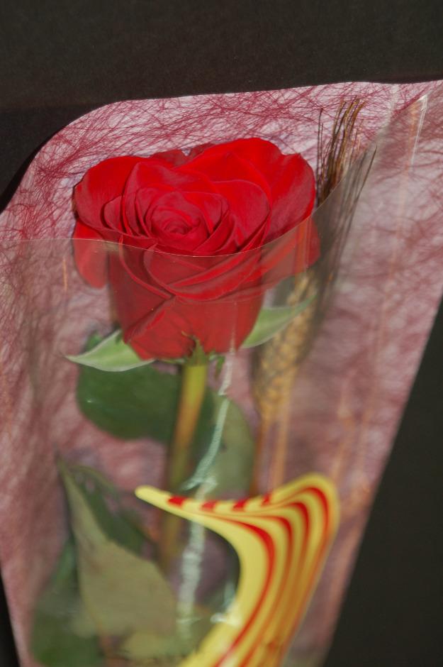 Necessites roses per St Jordi ??