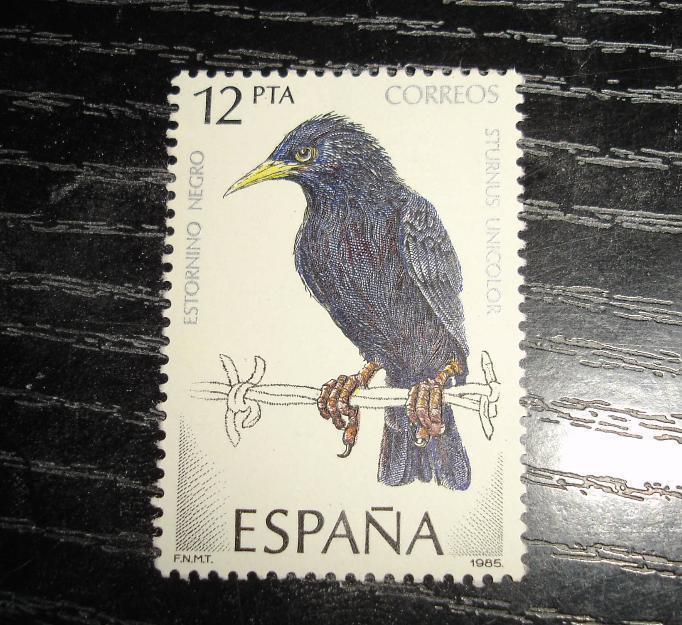 sellos Fauna aves  -Estornino Negro