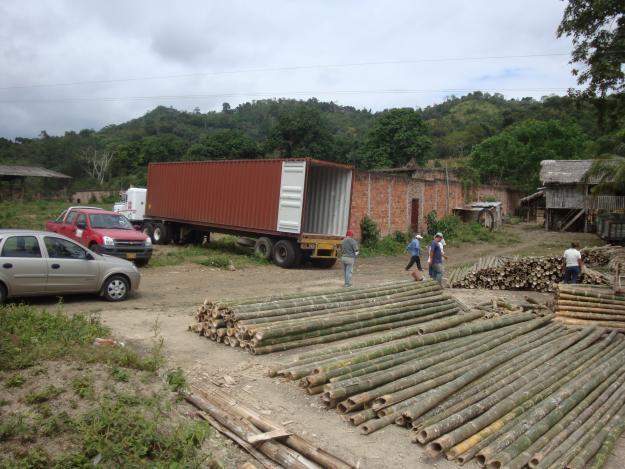 VENDEMOS CAÑA GUADUA