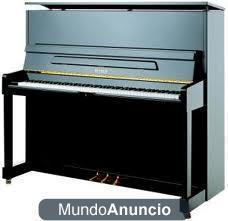 PARTICULAR VENDE PIANO PETROF CONCERTINO