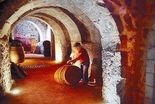 Despedida de solter@ ribera del duero enoturismo