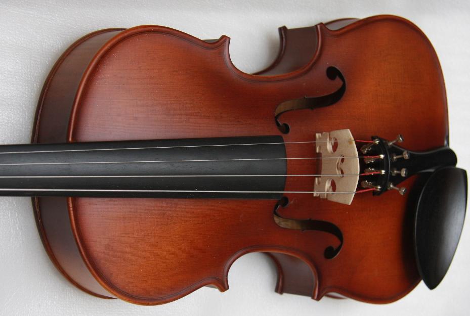 Viola estudio de 14 ó 15