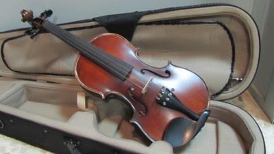 Violin gama media