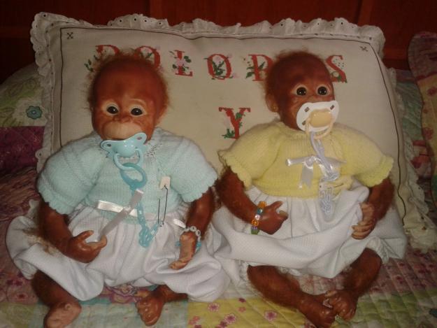 vendo parejas de monos reborns