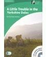 a little trouble in the yorkshire dales libro + cd