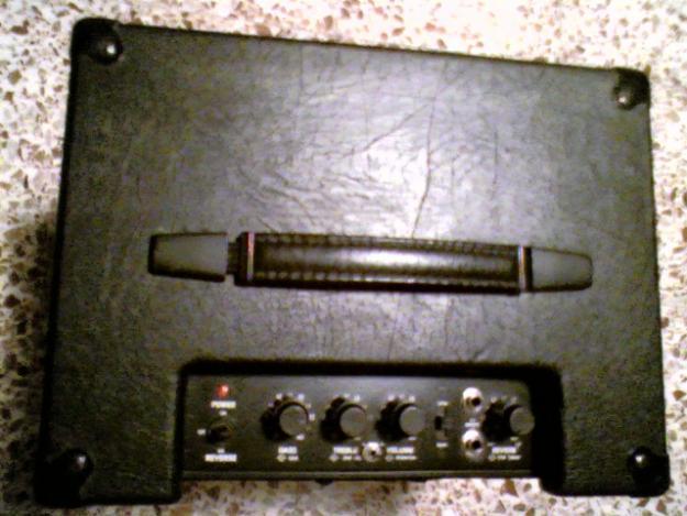 Amplificador Polytone Minibrute II