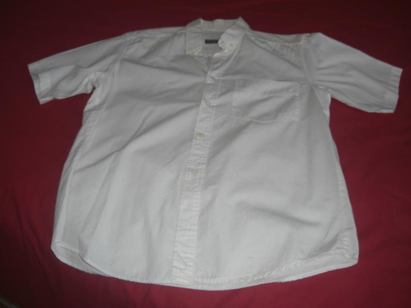 Camisa