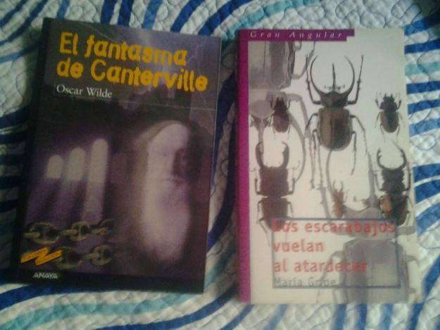 El fantasma de Canterville y los escarabajos vuelan al atardecer