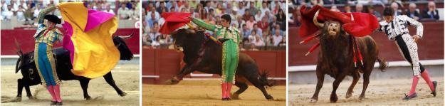 ENTRADAS TOROS SAN ISIDRO 25 DE MAYO 2010