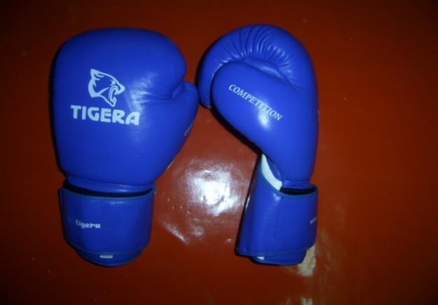 gloves boxing
