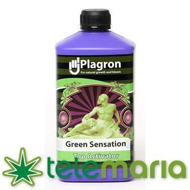 Green Sensation - 250 ml