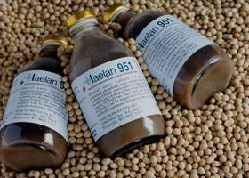 Haelan951 - Suplemento alimentar de soya fermentada ( Haelan 951 )