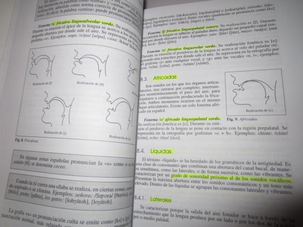 INTRODUCCIÓN A LA LENGUA ESPAÑOLA