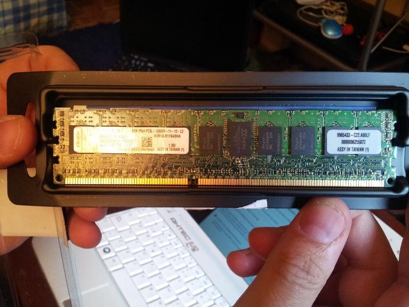 Kingston - 8 GB - DDR3-1600 RAM Modulo Unico