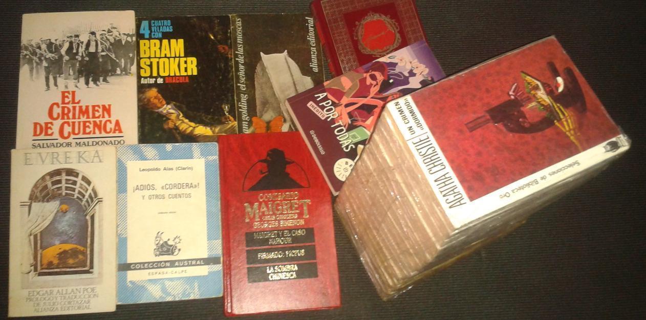 Lote 29 libros DEBOLSILLO  -  Idioma Castellano  ( Super Oferta )  Madrid