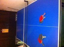 Mesa ping-pong casi nueva