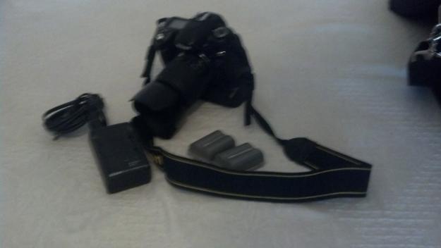 Nikon D80 + Nikkor ED 55-200mm + Grip