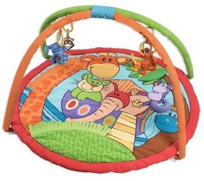 playgro discovery gym noah's ark