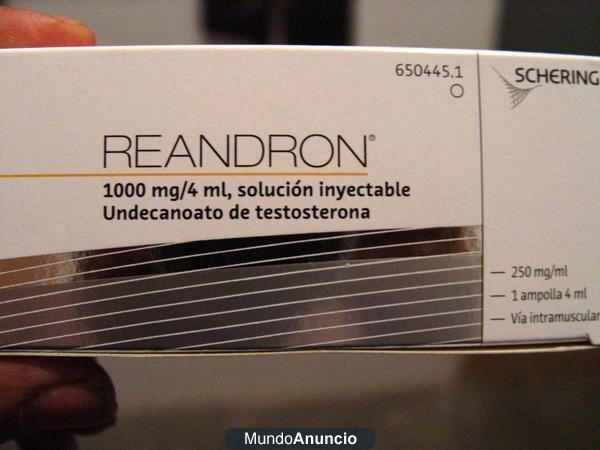 Reandron ( undecanato d testosterona)