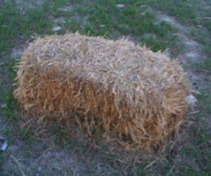 SE VENDEN PAQUETES DE ALFALFA Y AVENA