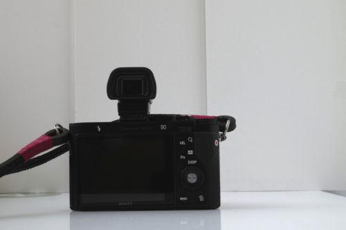 Sony RX1, EVF and Extras