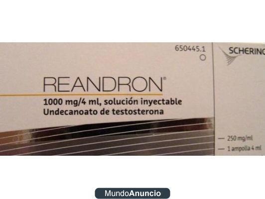 undecanoato de testosterona REANDRON