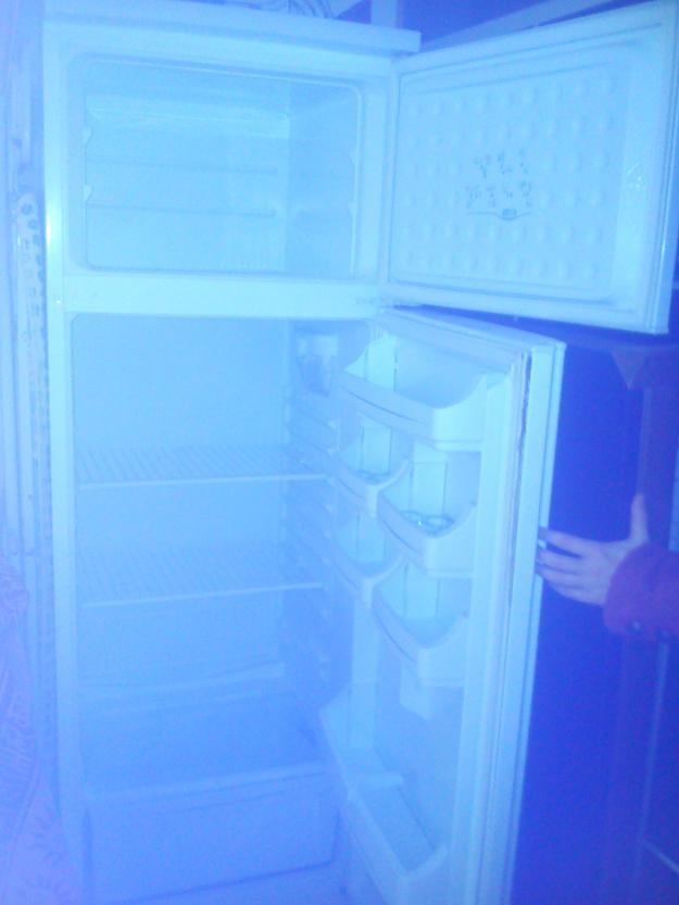 frigo