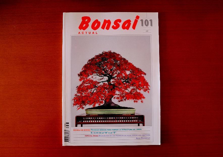 Revista Portal Bonsai (38 números) (Revista descatalogada)