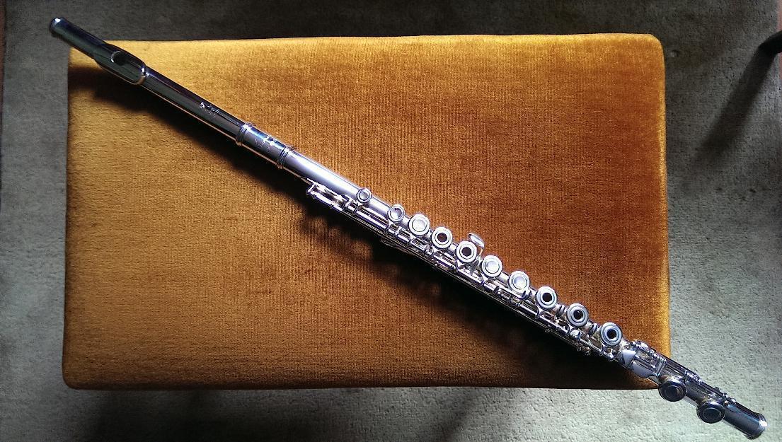Flauta Powell Sonaré SF-6000 en Excelente estado