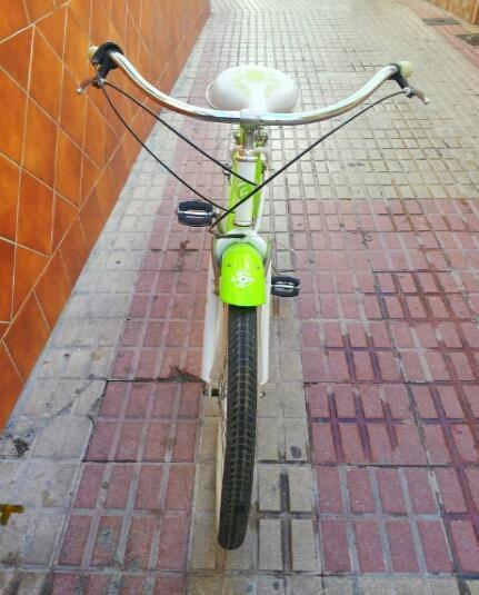 Bicicleta Vintage de Alta Gama.