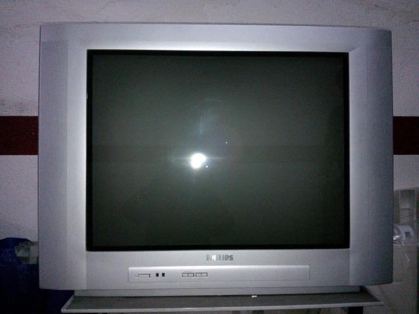 Televisor philips 29pt5407+tdt+cables