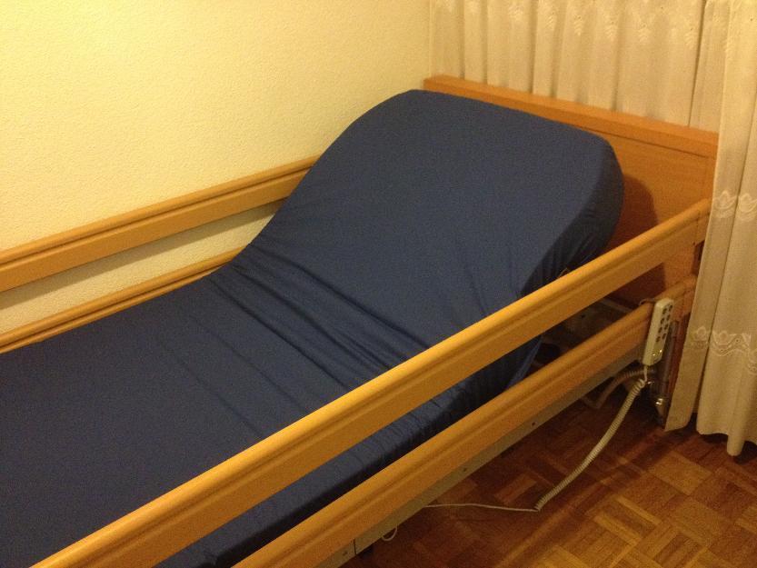 cama ortopédica + colchon