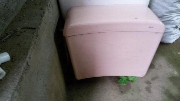 Cisterna roca color rosa