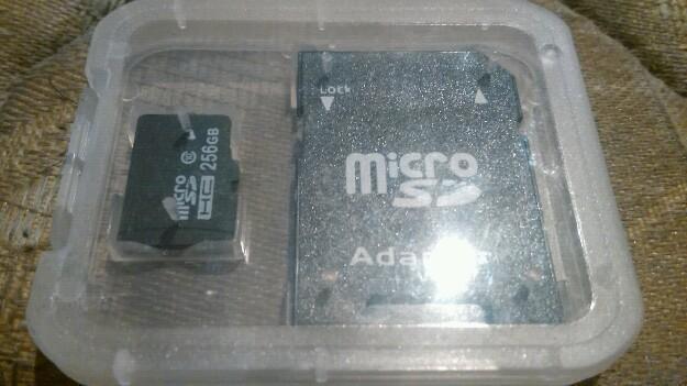 Micro SD 256 gb