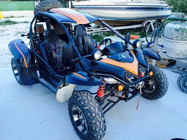 Buggy ninja 1100 año 2014