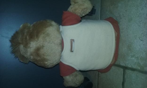 Teddy Ruxpin en perfecto estado y completamente nuevo y sin usar